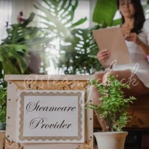 Certified Steamcare Provider, CSP: Level 2 Payment Plan